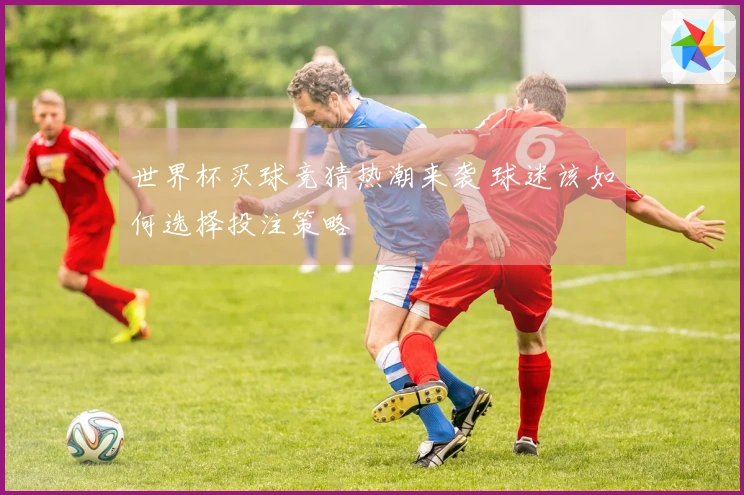 世界杯买球竞猜热潮来袭 球迷该如何选择投注策略