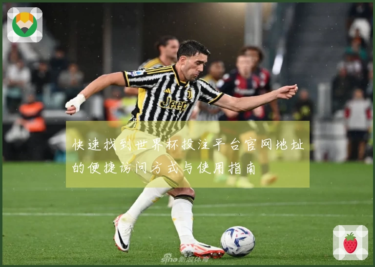快速找到世界杯投注平台官网地址的便捷访问方式与使用指南