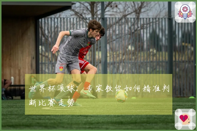 世界杯滚球：专家教你如何精准判断比赛走势