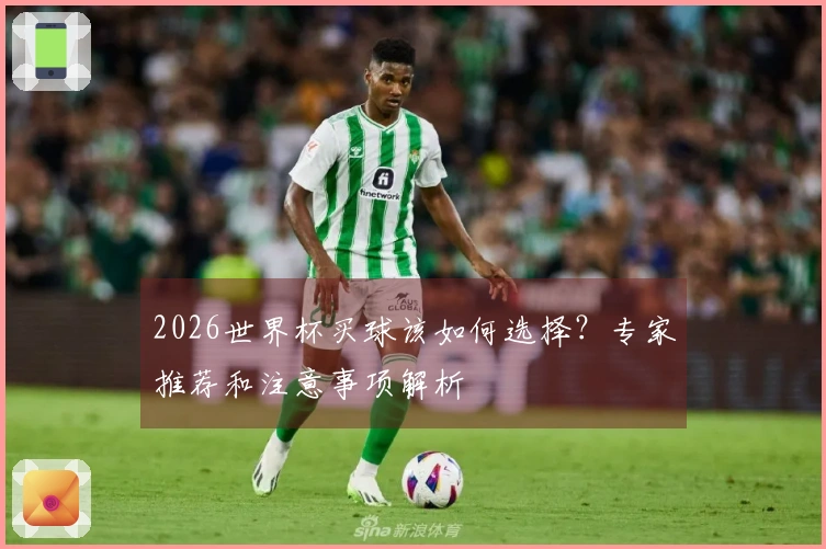 2026世界杯买球该如何选择？专家推荐和注意事项解析