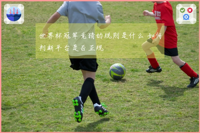 世界杯冠军竞猜的规则是什么 如何判断平台是否正规