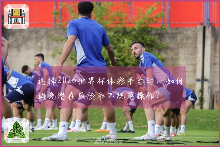 选择2026世界杯体彩平台时，如何避免潜在风险和不规范操作？