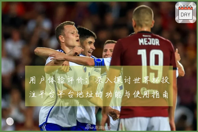 用户体验评价：深入探讨世界杯投注平台平台地址的功能与使用指南