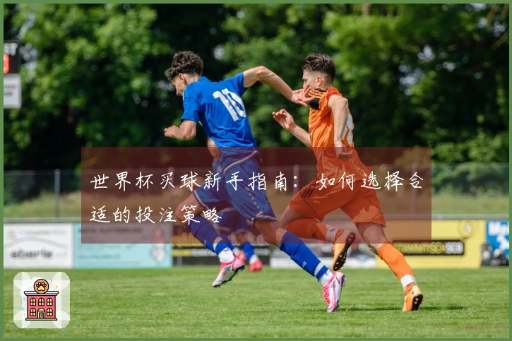 世界杯买球新手指南：如何选择合适的投注策略