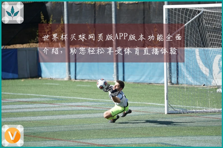 世界杯买球网页版APP版本功能全面介绍,助您轻松享受体育直播体验