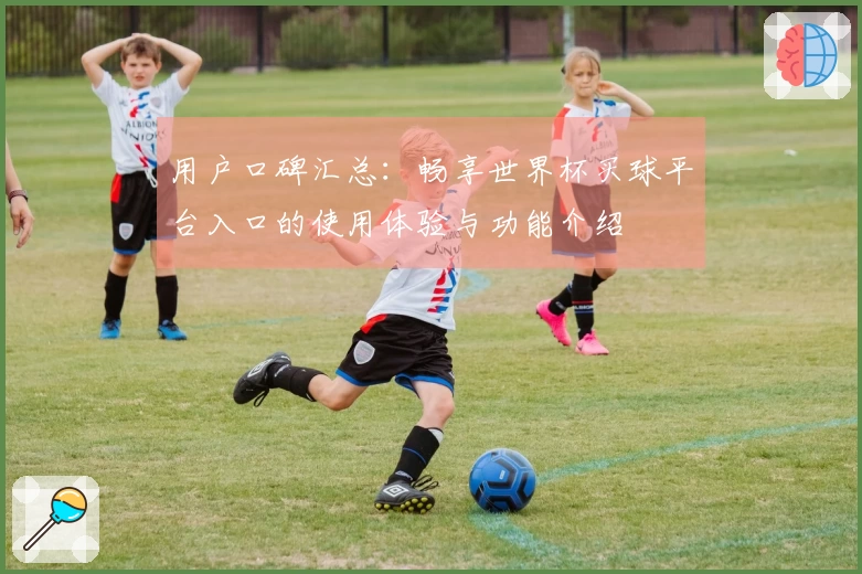 用户口碑汇总:畅享世界杯买球平台入口的使用体验与功能介绍