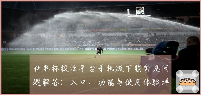 世界杯投注平台手机版下载常见问题解答：入口、功能与使用体验详解