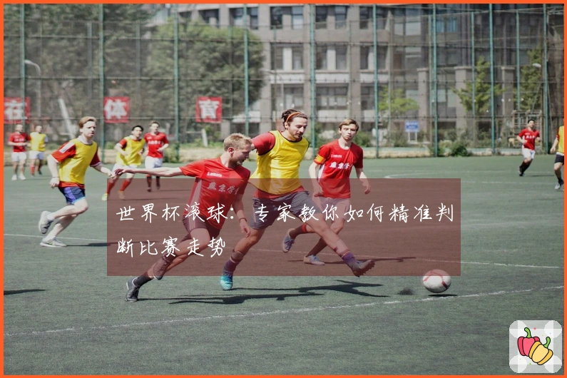 世界杯滚球：专家教你如何精准判断比赛走势