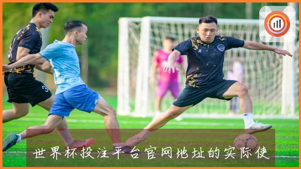 世界杯投注平台官网地址的实际使用体验与功能全面评测