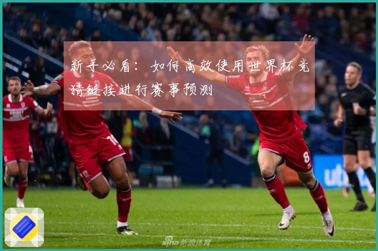新手必看：如何高效使用世界杯竞猜链接进行赛事预测