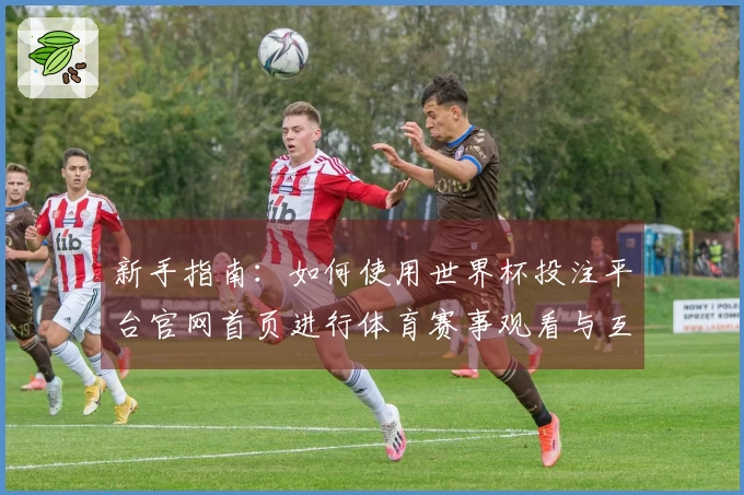新手指南：如何使用世界杯投注平台官网首页进行体育赛事观看与互动