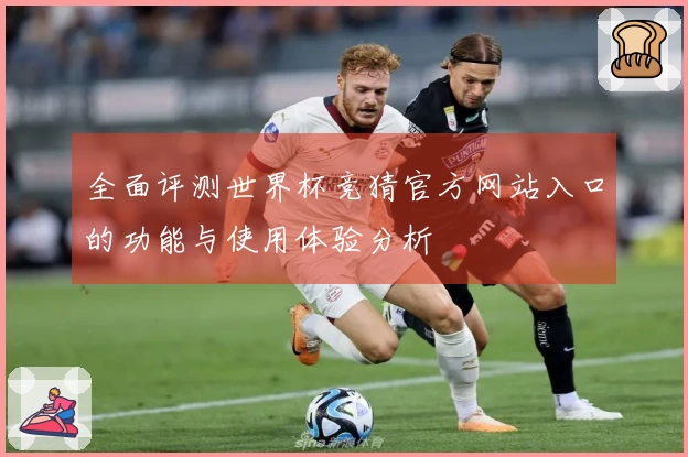 全面评测世界杯竞猜官方网站入口的功能与使用体验分析