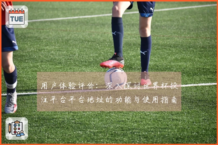 用户体验评价：深入探讨世界杯投注平台平台地址的功能与使用指南