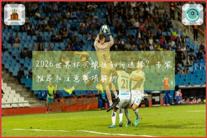 2026世界杯买球该如何选择？专家推荐和注意事项解析