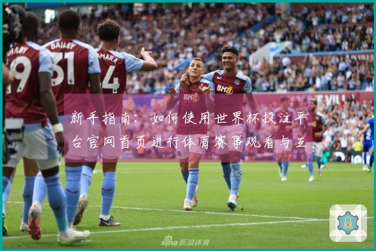 新手指南：如何使用世界杯投注平台官网首页进行体育赛事观看与互动